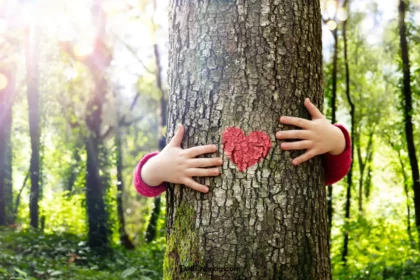 Beneficios de abrazar un árbol